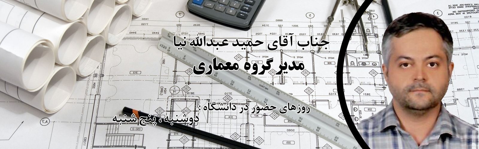 جناب آقای حمید عبدالله نیا مدیر گروه معماری